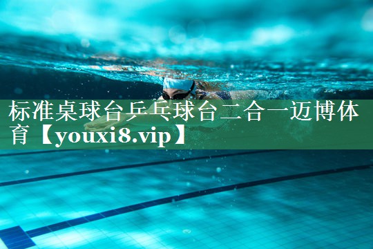 标准桌球台乒乓球台二合一迈博体育