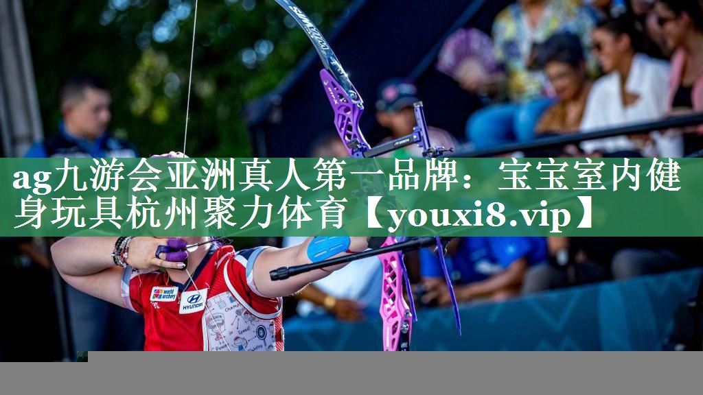 ag九游会亚洲真人第一品牌：宝宝室内健身玩具杭州聚力体育