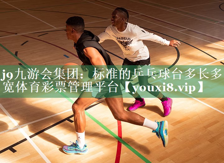 j9九游会集团：标准的乒乓球台多长多宽体育彩票管理平台