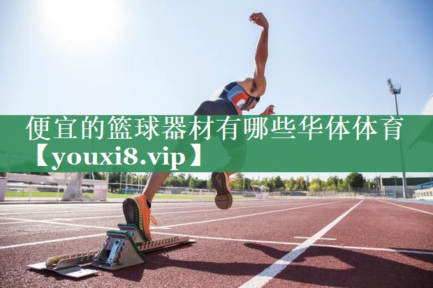 便宜的篮球器材有哪些华体体育