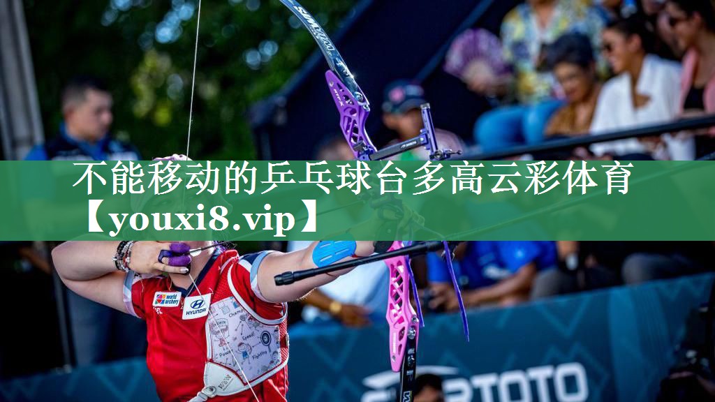 不能移动的乒乓球台多高云彩体育