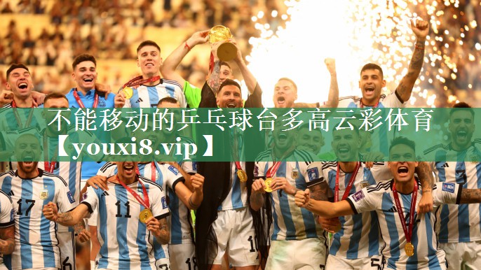 不能移动的乒乓球台多高云彩体育