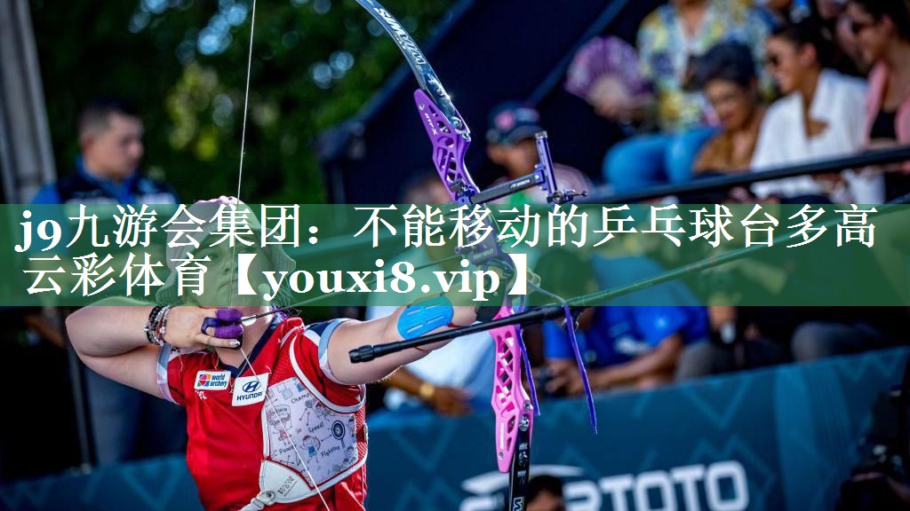 j9九游会集团：不能移动的乒乓球台多高云彩体育