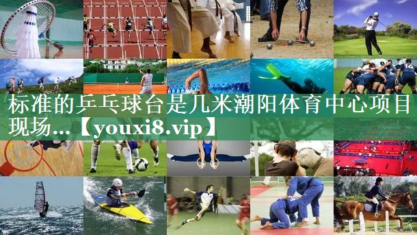 标准的乒乓球台是几米潮阳体育中心项目现场…