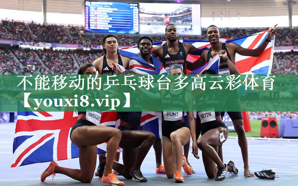 不能移动的乒乓球台多高云彩体育