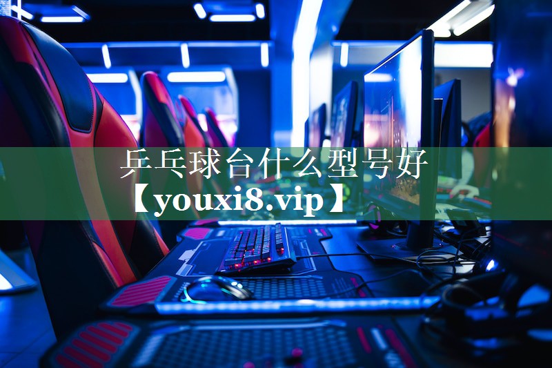 乒乓球台什么型号好