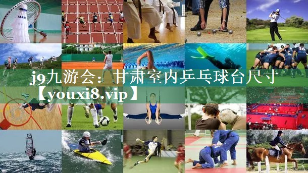 甘肃室内乒乓球台尺寸