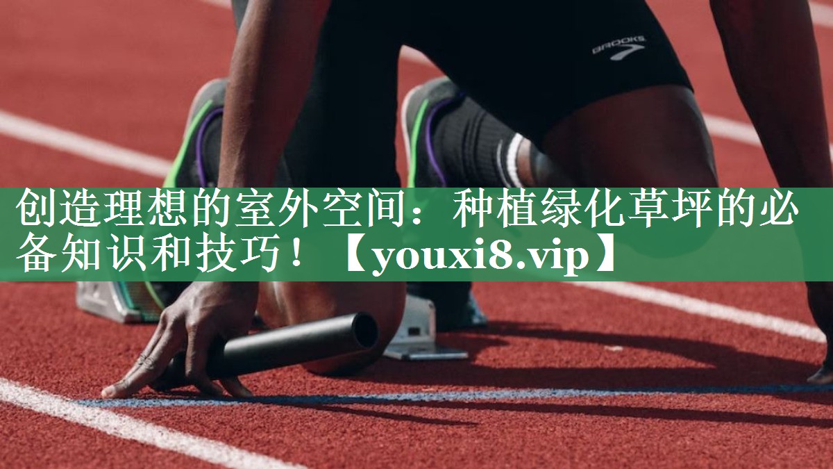 创造理想的室外空间：种植绿化草坪的必备知识和技巧！