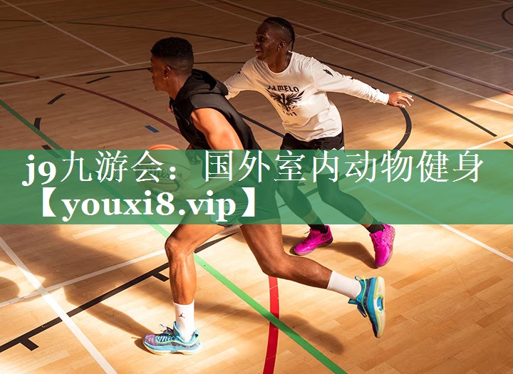 j9九游会：国外室内动物健身