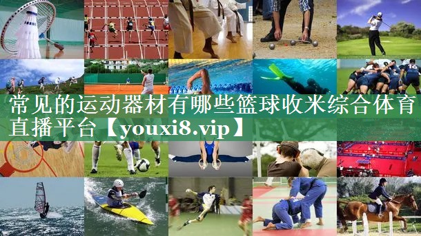 常见的运动器材有哪些篮球收米综合体育直播平台